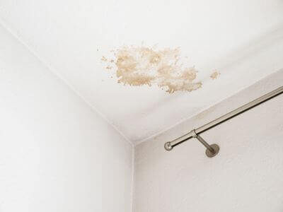About Black Mold Removal Suffolk - black mold removal experts in Suffolk